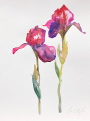 Summer Irises original watercolour