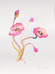 Pink poppies original watercolour