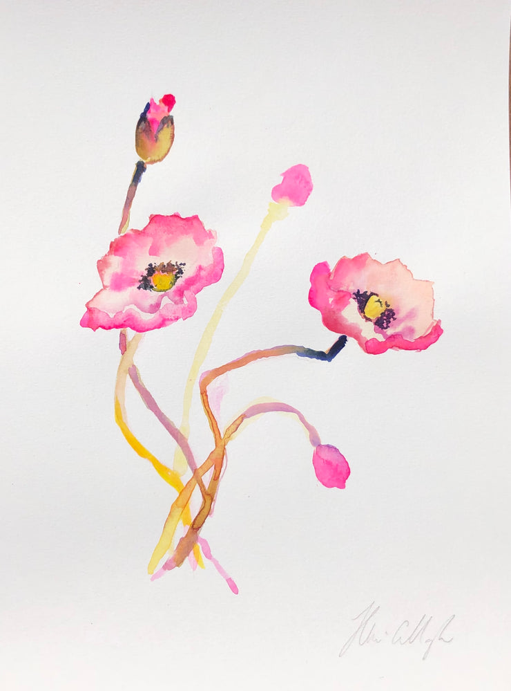 Pink poppies original watercolour