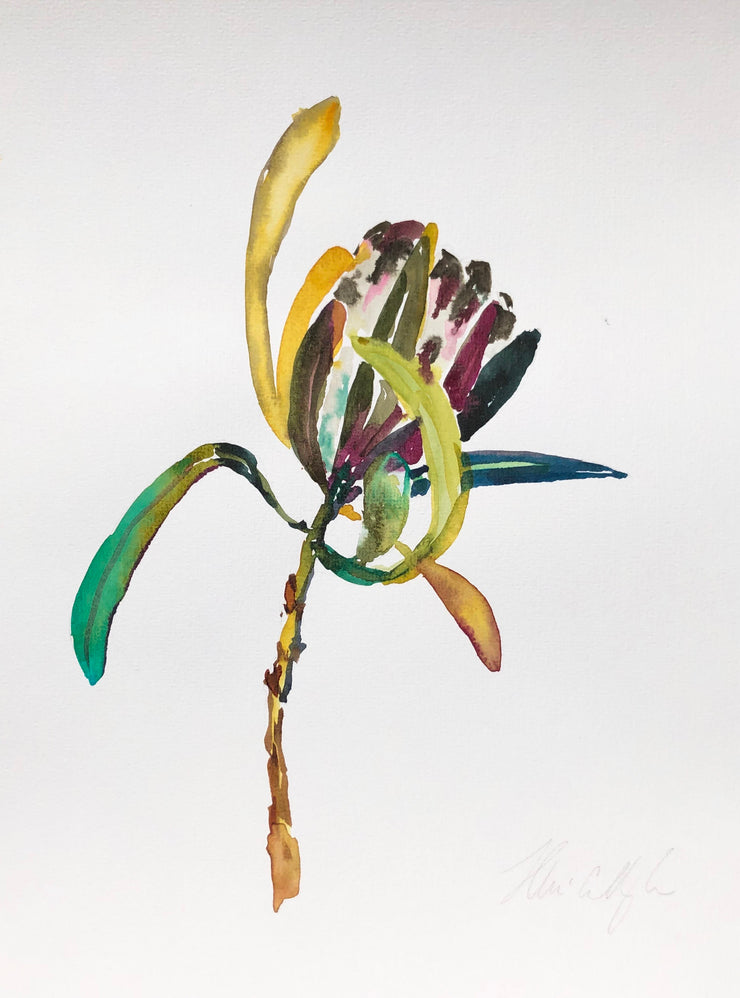 Natives from Finn original watercolour