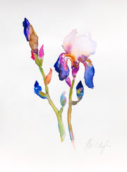 Irises 3 original watercolour