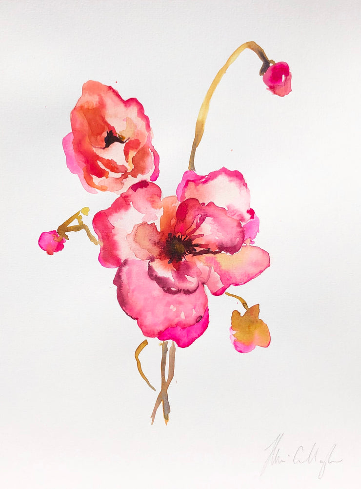 Dancing Poppies