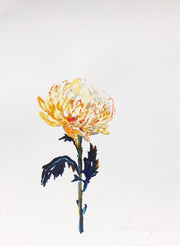 Birthday flowers 2 original watercolour study
