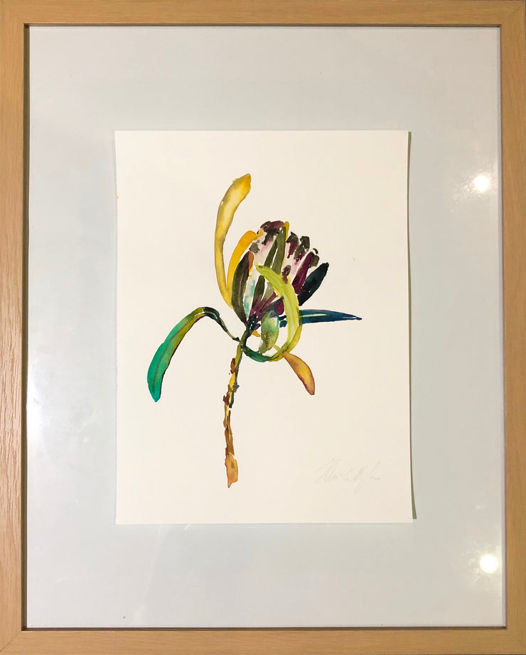 Natives from Finn original watercolour