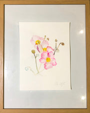 Japanese Anemones - watercolour on paper