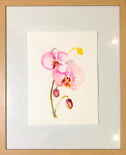 Orchids original watercolour