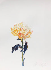 Birthday flowers 2 original watercolour study
