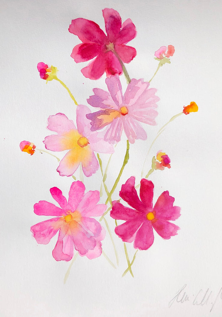 Cosmos