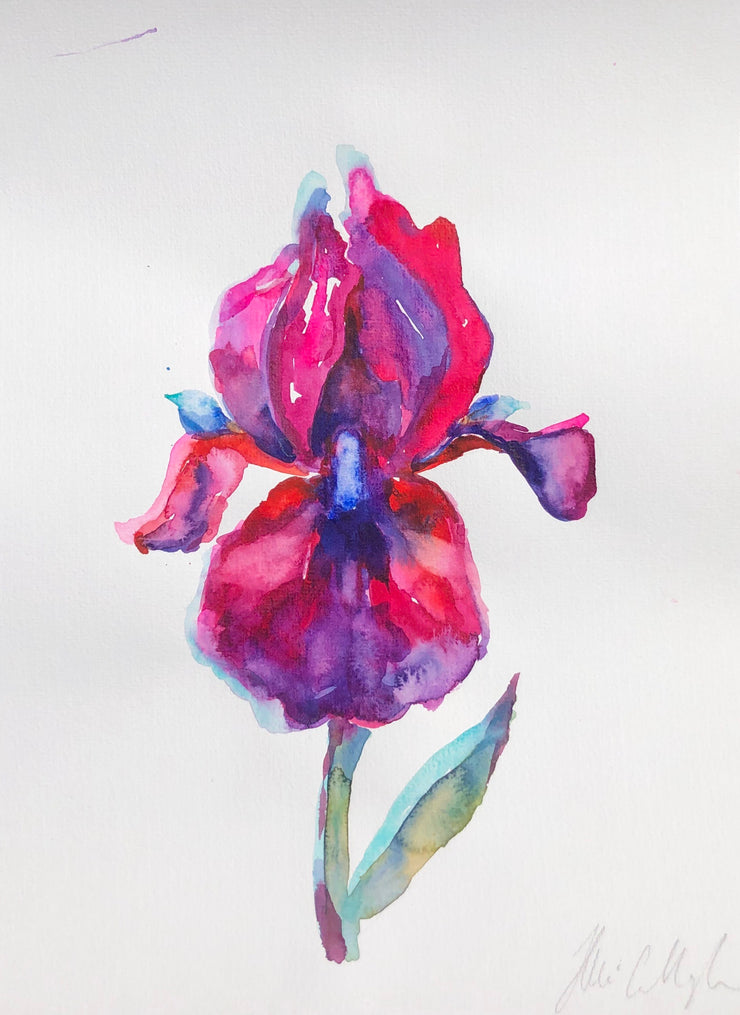 Dancing Iris