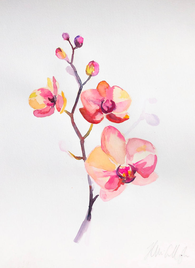 String of orchids