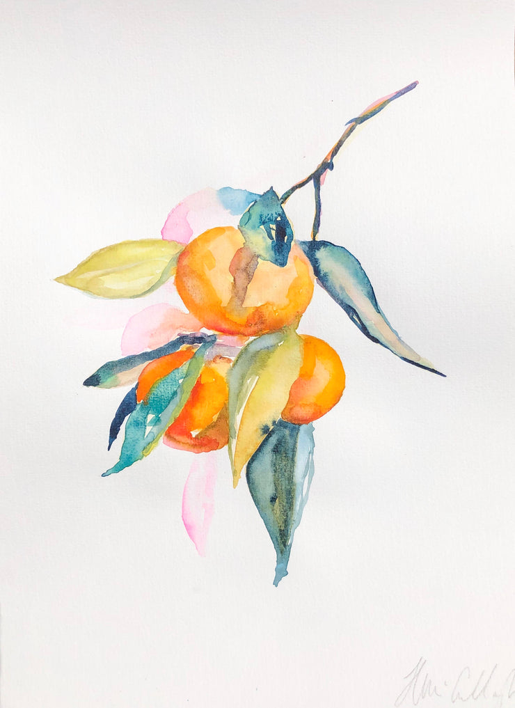 Mandarins from the farm