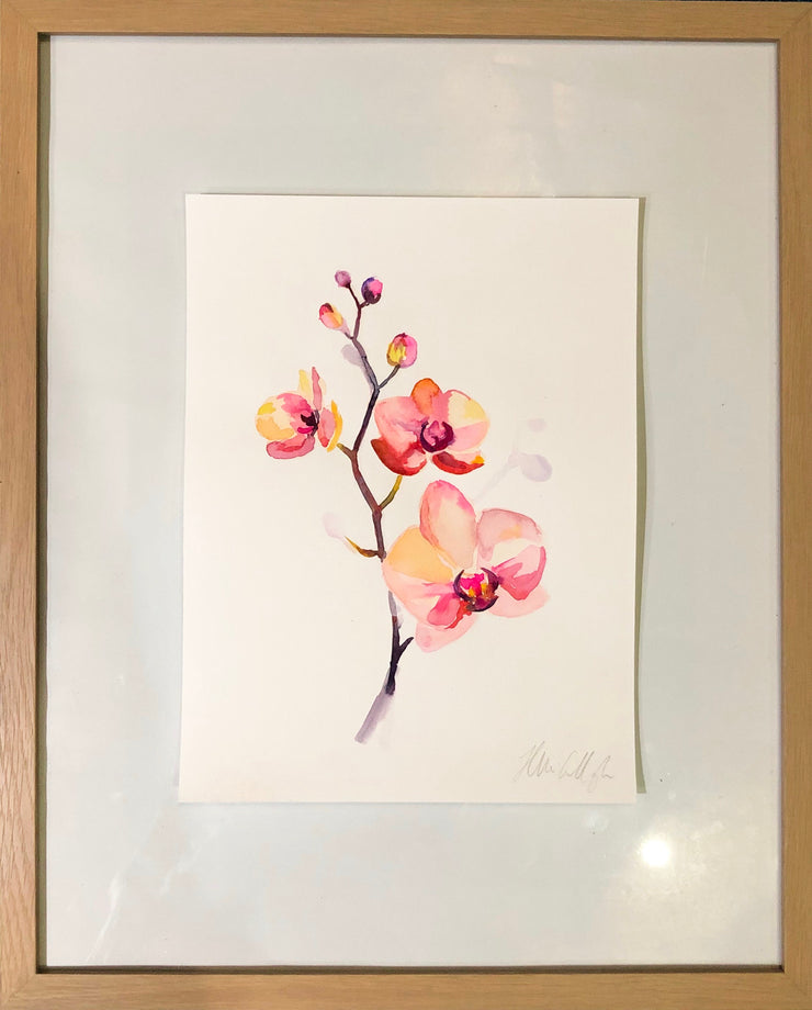 String of orchids