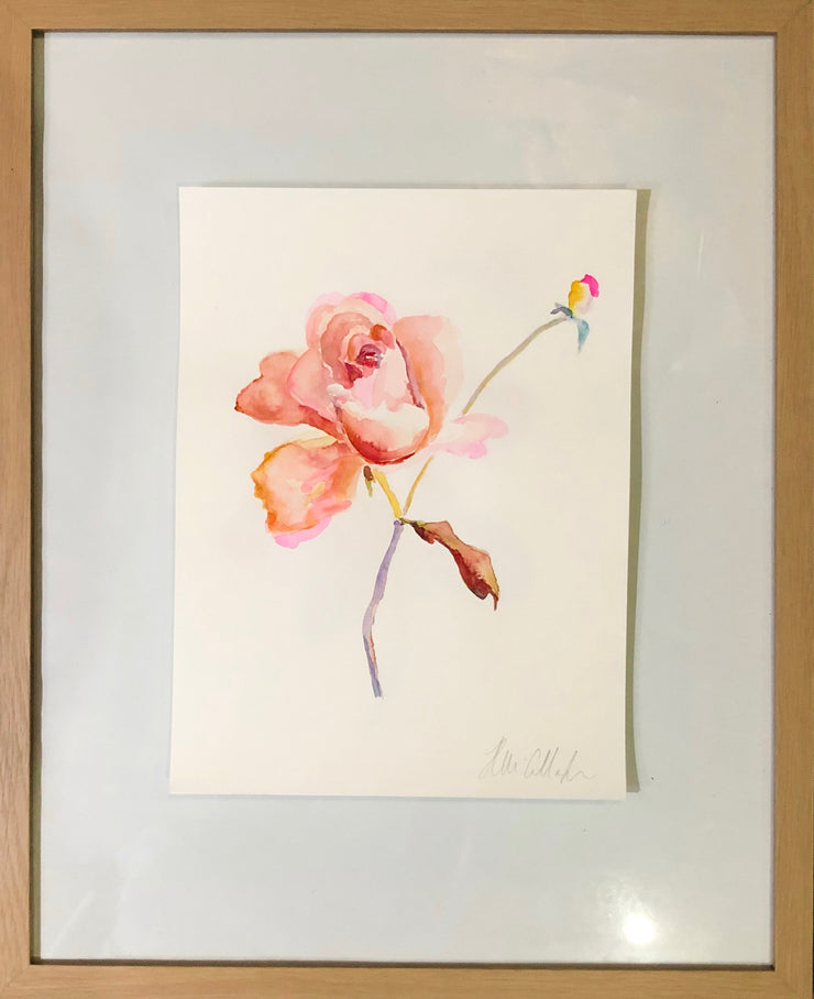 Spring Rose