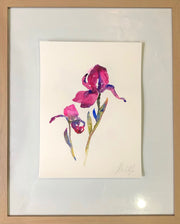 Dancing Iris