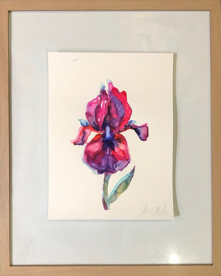 Dancing Iris