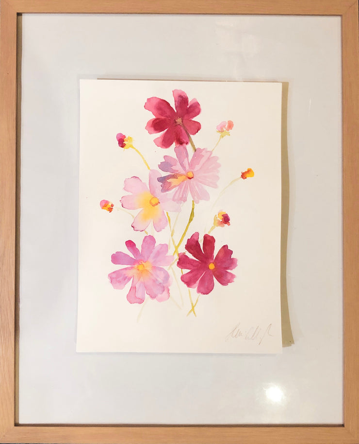 Cosmos