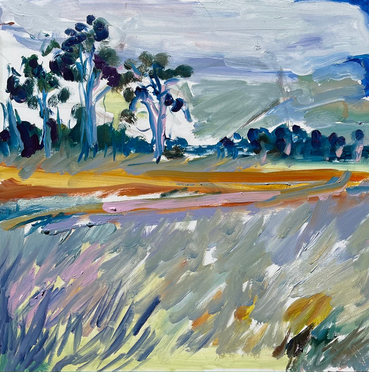 Outback (rain coming)