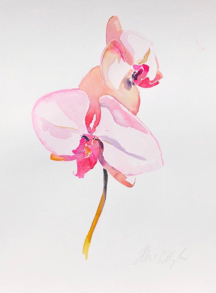 Pink Orchids original watercolour