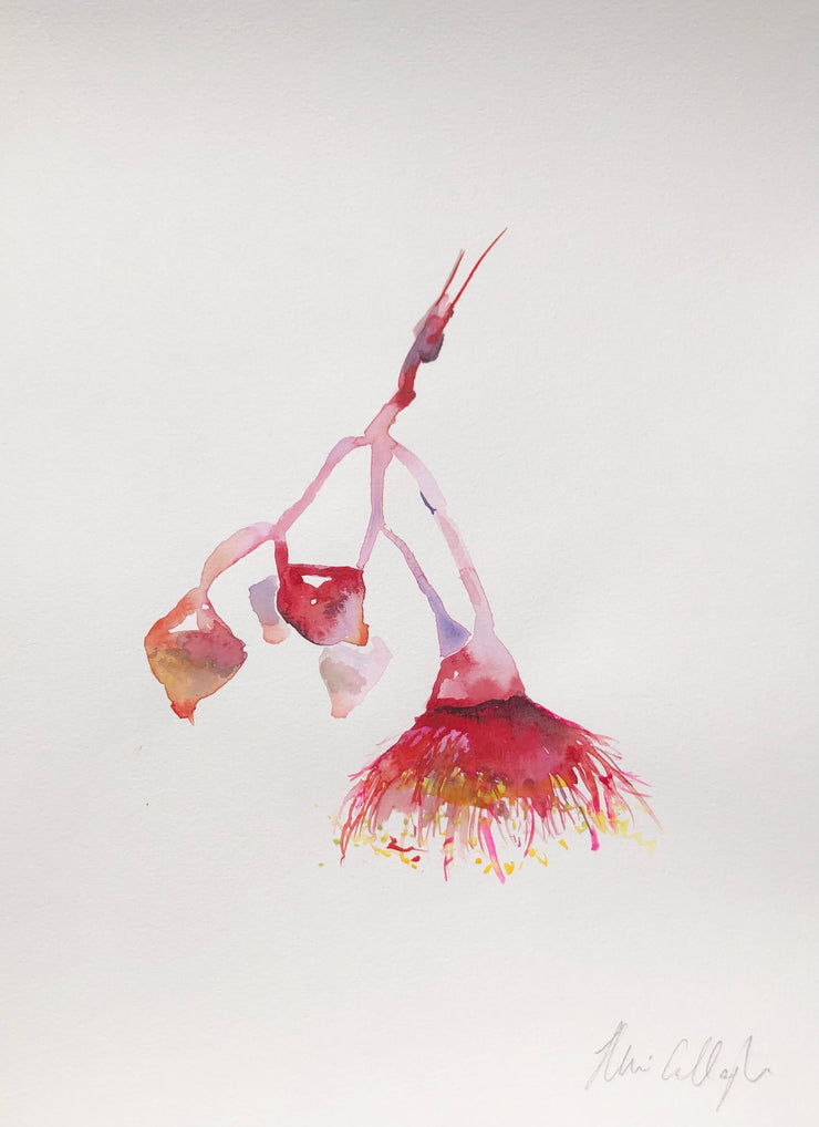 Cascading gum blossom original watercolour